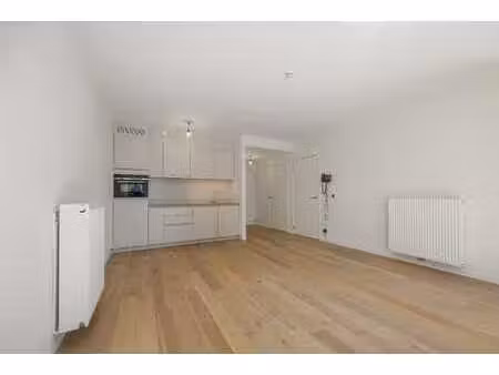 assistentie-appartement met zijdelings zeezicht op steenw...