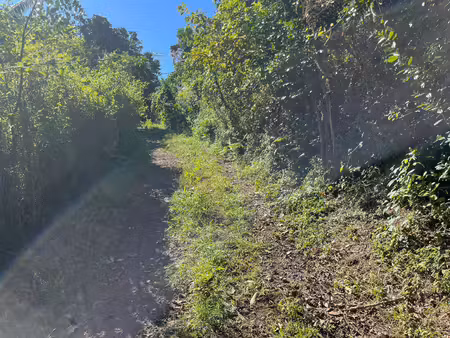 terrain constructible à vendre