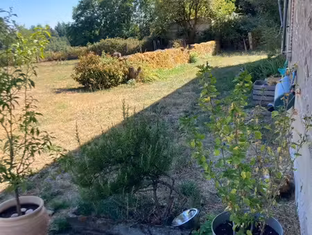 location maison st bonnet près bort