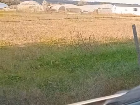 exploitation agricole a louer 20 tunnel sur 3 hectare