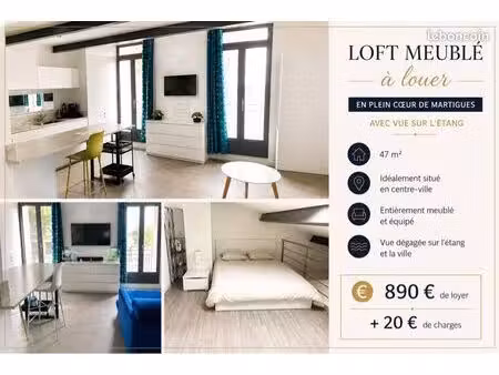 loft meublé 47m2 t2
