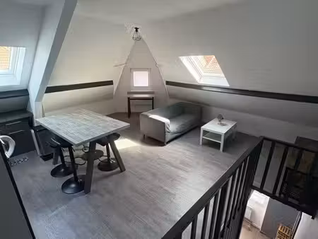 magnifique appartement 46m2 rénové et meublé