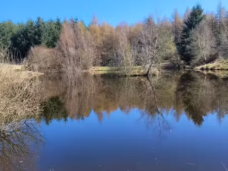 étang