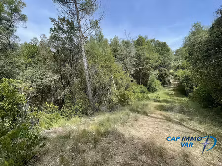 terrain forestier avec ruine de cabanon