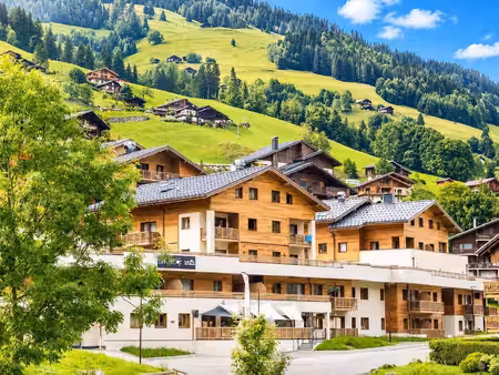 mountain collection immobilier