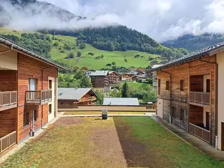 mountain collection immobilier