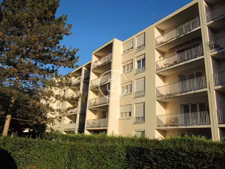 saint martin immobilier