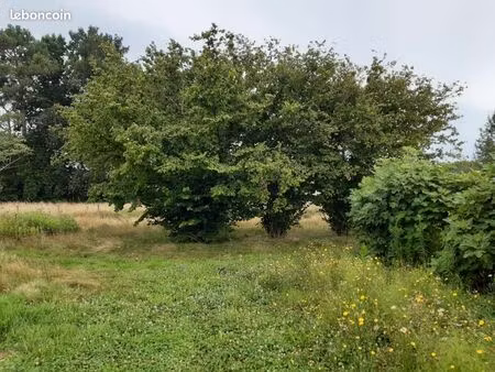 terrain 600 m² podensac