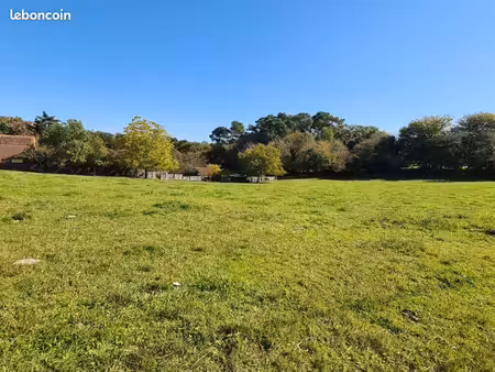 terrain 4 000 m² jaure