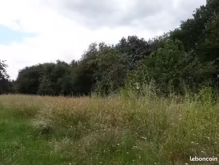 terrain 1 250 m² belin beliet