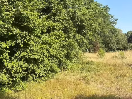 terrain 541 m² gradignan