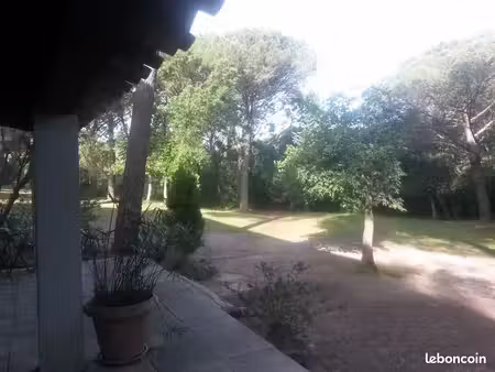 appartement 2 pièces au calme dans pinède