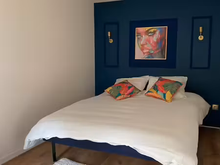 location appartement meublé 46m2+ balcon firminy