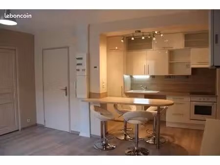 appartement t3 refait à neuf – 52 m² – centre-ville st-didier-en-velay