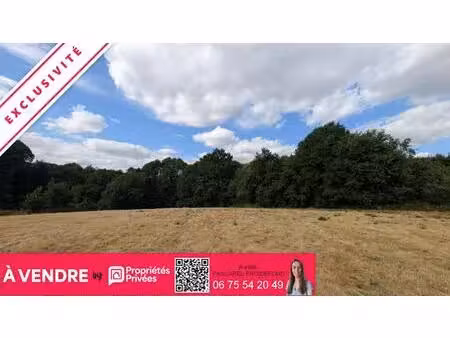 exclusivite - terrain à bâtir d'environ 8900m² - secteur hippodrome pompadour (19230)