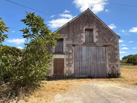 vente maison 2 pièces 100 m² loire-authion (49630)