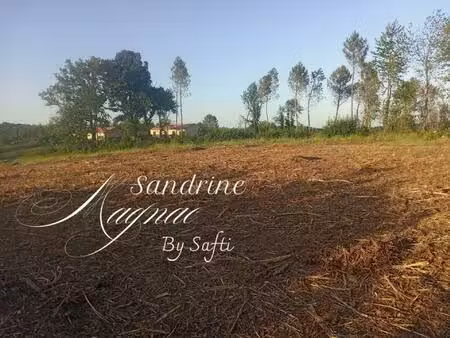 terrain constructible de 6550m² avec vue