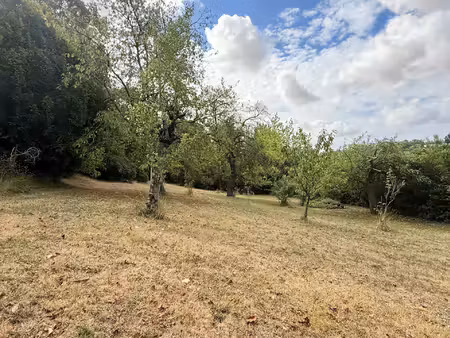magnifique terrain arboré constructible