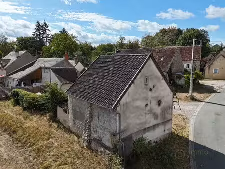 terrain