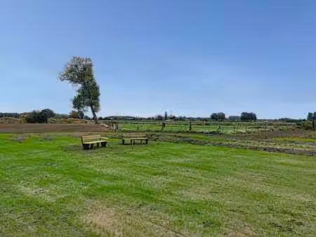 open bebouwing met 4 slpk en zicht op weilanden