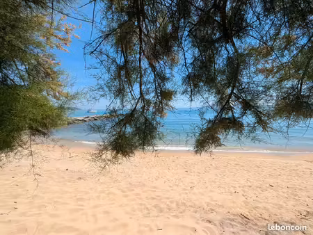 studio lavandou 50m des plages