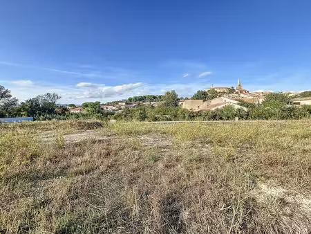 terrain