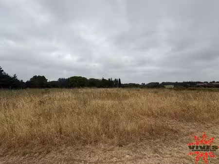 terrain agricole