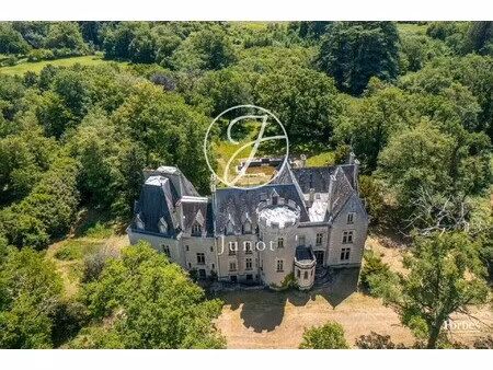 château la guerche-sur-l'aubois - 16 chambres - 1213m²
