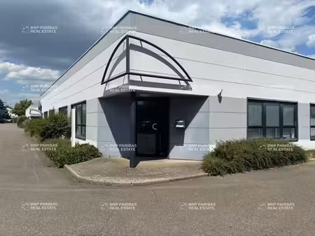 location local d'activités 294 m²