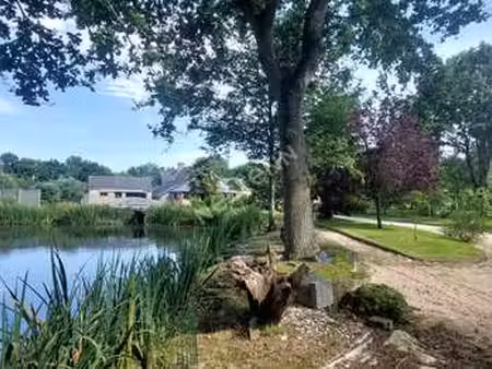 vente maison piscine à châteaugiron (35410) : à vendre piscine / 250m² châteaugiron