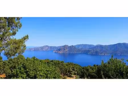 villa avec terrasse piana (2a)