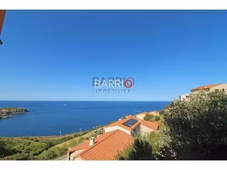 maison vue mer cerbere composée de 9 appartements