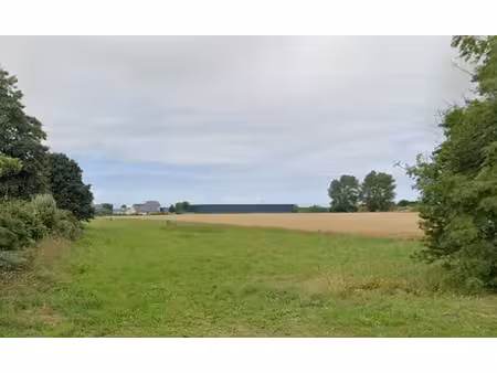 vente terrain 341 m² à henvic (29670)  31 500 €