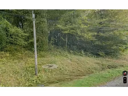 vente terrain 3410 m² à ladignac-sur-rondelles (19150)  14 000 €