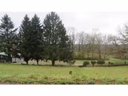 vente terrain 1719 m² à peyrat-de-bellac (87300)  19 000 €