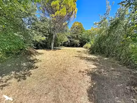 vente terrain 850 m² à saint-severin (16390)  25 000 €