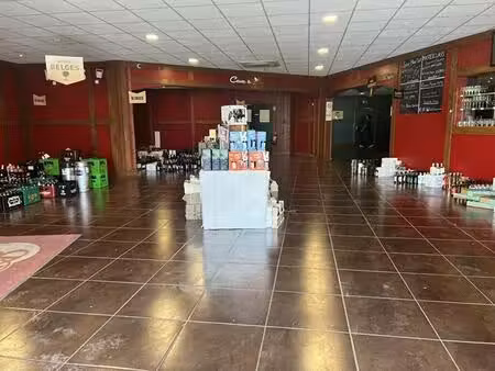location commerce salaise sur sanne 38150 425m²