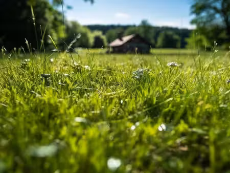 vente terrain 800 m² à autechaux-roide (25150)  32 000 €
