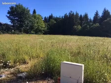 vente terrain 1698 m² à palazinges (19190)  26 500 €