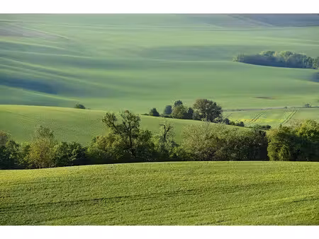 vente terrain 1594 m² à sadroc (19270)  34 000 €