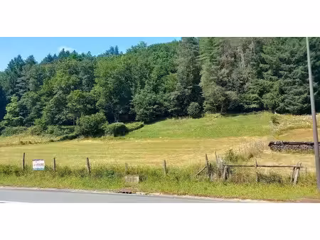 vente terrain 7000 m² à argentat (19400)  35 000 €