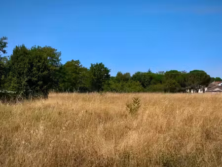 vente terrain 298 m² à labastide-saint-georges (81500)  39 000 €