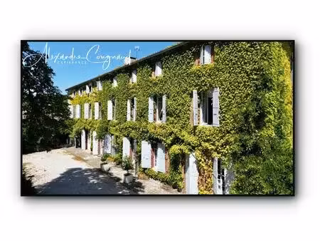 a vendre roquecourbe (81) — maison de maître xixe  500 m²  10 chambres  parc piscinable 2.