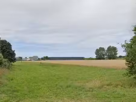 vente terrain à henvic (29670) : à vendre / henvic