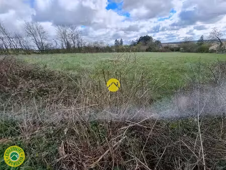 vente terrain 3579 m² à nérondes (18350)  47 500 €