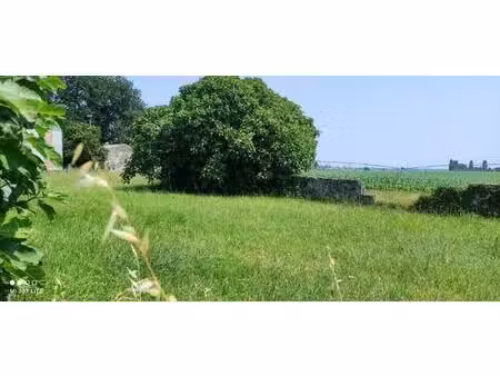 vente terrain 893 m² rioux (17460)