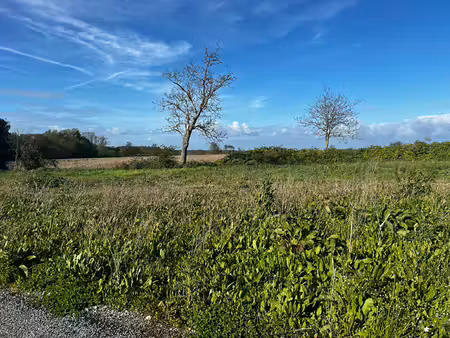 vente terrain  563.00m²  loire