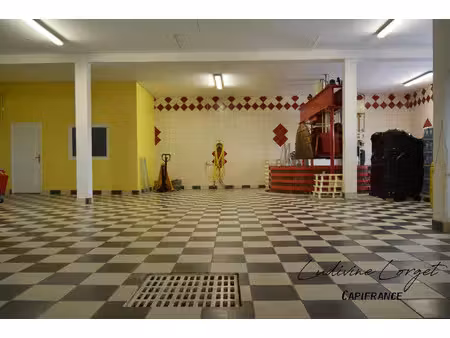 local professionnel à vendre epernay 5 pièce(s) 423m2 470 000€