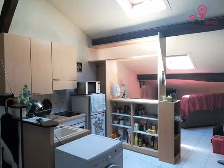 location appartement 2 pièces 31 m² à lyon 7 (69007)