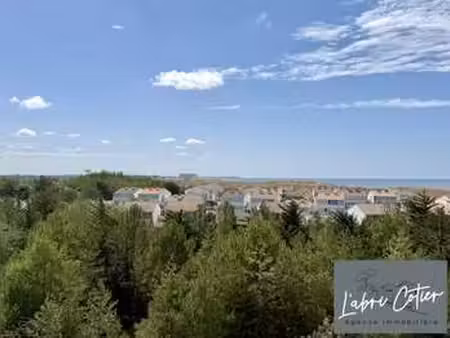 vente appartement 3 pièces à saint-hilaire-de-riez (85270) : à vendre 3 pièces / 43m² sain
